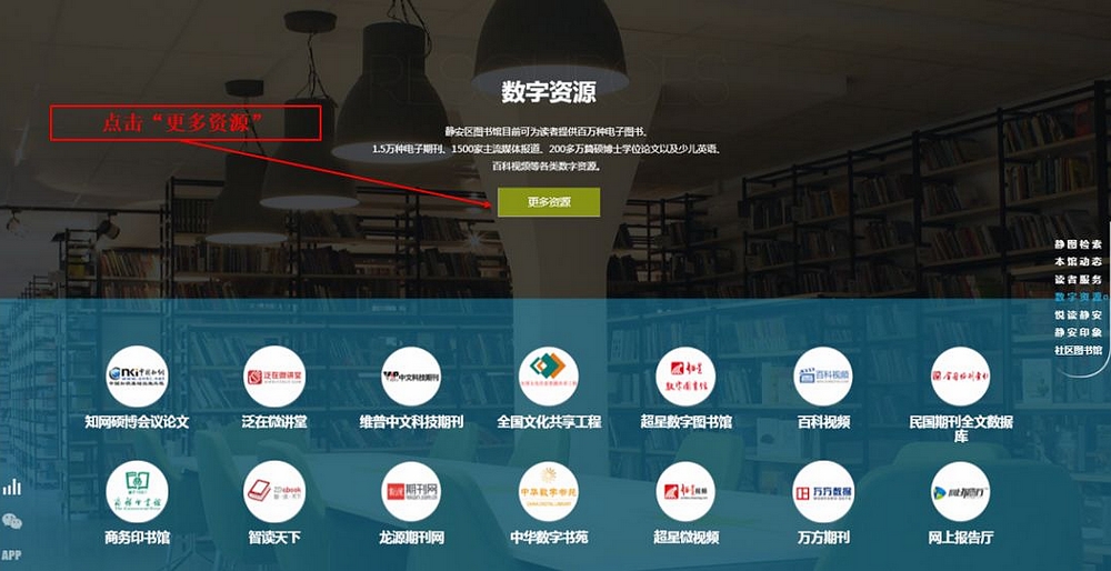 数字资源中少报刊